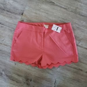 *New Girl Crewcuts Shorts*